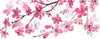 Taza Mulan Flores Sakura