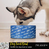 Friends Plato Para Mascota Azul