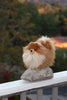 Peluche Pomeranian Mascota