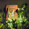 Peter Pan Campanita Brochas Tinkerbell