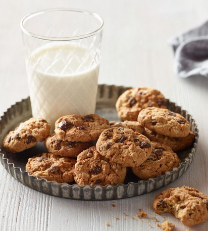 Munchkin Milkmakers Lactation Cookie Bites - Oatmeal Chocolate Chip - Cont. 10/20oz