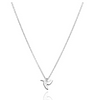 Collar Colibri Plateado