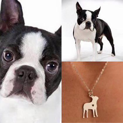 Collar De Perro (Boston Terrier)