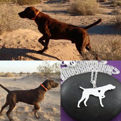 Collar De Perro (POINTER ALEMAN)
