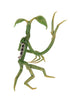 Animales Fantasticos Fantastic Beasts Planta Picket Pin