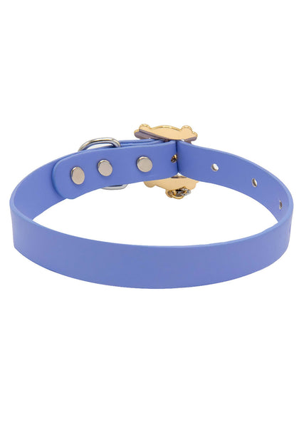 Friends Collar Para Mascota