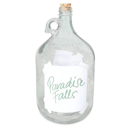Alcancia Up Una Aventura De Altura Paradise Falls