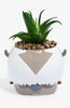 Avatar Planta Suculenta Appa