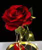 La Bella Y La Bestia Cristal de Rosa Encantada Vidrio Rosa Roja