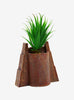 Jurassic Park Planta De Escritorio Maceta