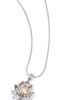 Collar Perla En Ostra Sorpresa Misteriosa