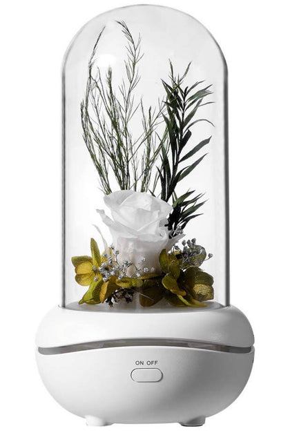 Difusor Aceites Escenciales Rosa Encantada
