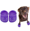 Crocs Para Mascota Zapatos