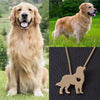 Collar De Perro (GOLDEN RETRIEVER)