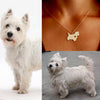 Collar De Perro (TERRIER)
