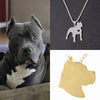 Collar De Perro (PIT BULL)