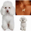 Collar De Perro (Poddle)