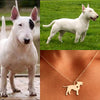 Collar De Perro (BULL TERRIER)
