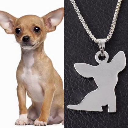 Collar De Perro (CHIHUAHUA)